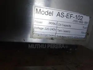 Electric Deep Fryer