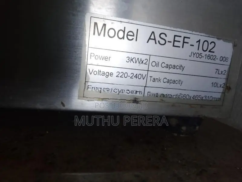 Electric Deep Fryer