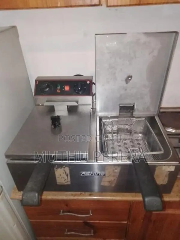 Electric Deep Fryer