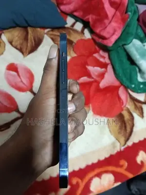 Apple iPhone 12 Pro Max (Used)