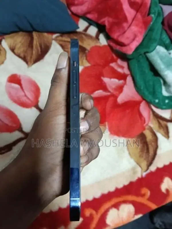 Apple iPhone 12 Pro Max (Used)