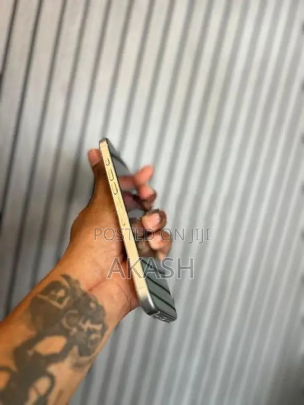 Apple iPhone 16 Pro Max (Used)