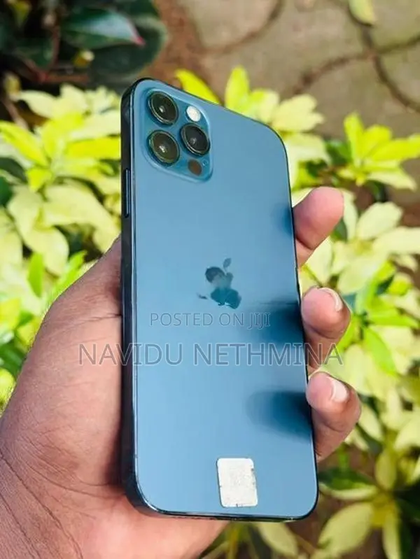Apple iPhone 12 Pro (Used)