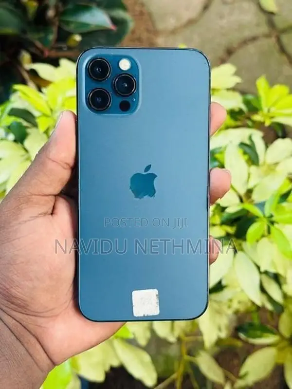 Apple iPhone 12 Pro (Used)