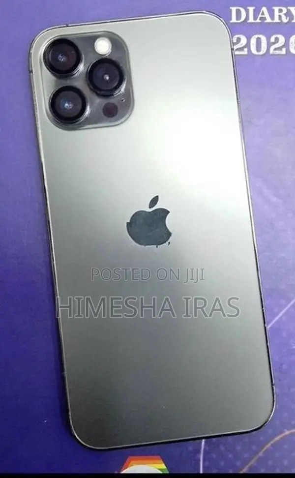 Apple iPhone 12 Pro Max (Used)