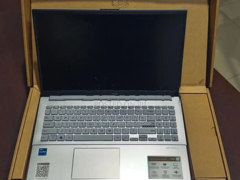 ASUS Vivobook Go 15