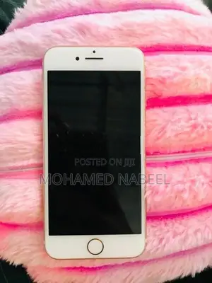 Apple iPhone 7 (Used)