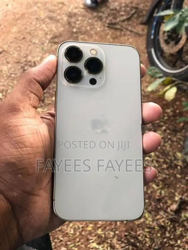 Apple iPhone 13 Pro (Used)
