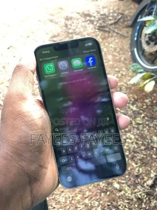 Apple iPhone 13 Pro (Used)