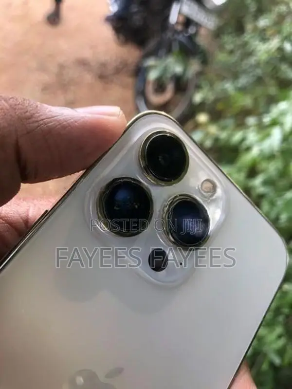 Apple iPhone 13 Pro (Used)