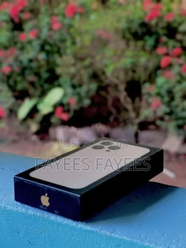 Apple iPhone 13 Pro (Used)