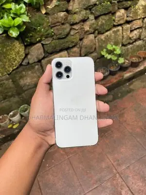 Apple iPhone 12 Pro Max (Used)