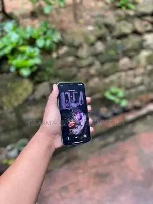 Apple iPhone 12 Pro Max (Used)