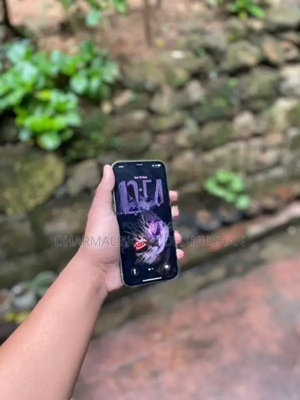 Apple iPhone 12 Pro Max (Used)