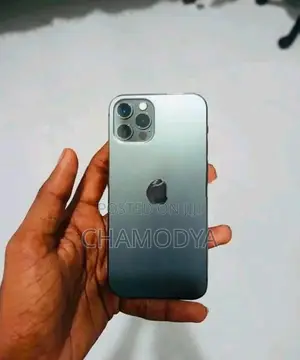 Apple iPhone 12 Pro 256GB (Used)