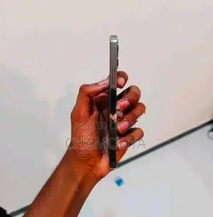 Apple iPhone 12 Pro 256GB (Used)