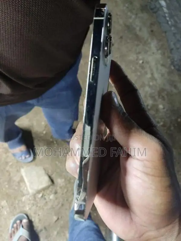 Apple iPhone 13 Pro Max (Used)