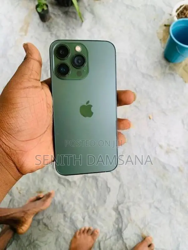 Apple iPhone 13 Pro 256GB (Used)