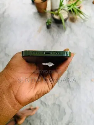 Apple iPhone 13 Pro 256GB (Used)
