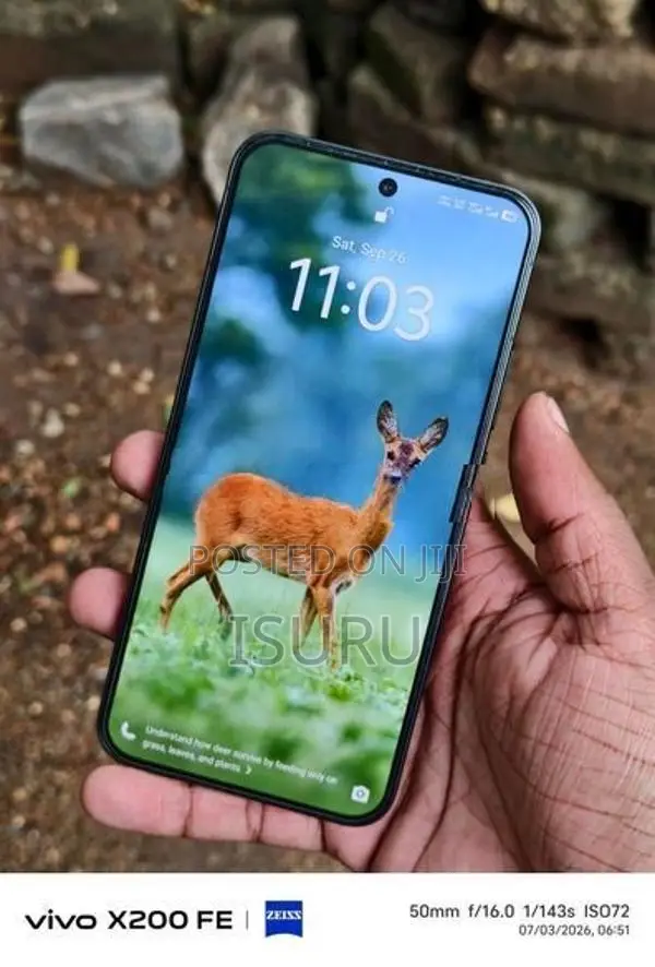 Vivo X300 FE (Used)