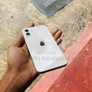 Apple iPhone 12 (Used)