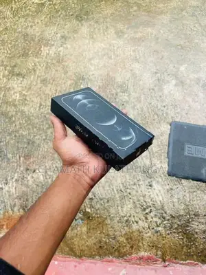 Apple iPhone 12 (Used)