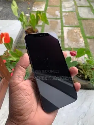 Apple iPhone 12 Pro (Used)
