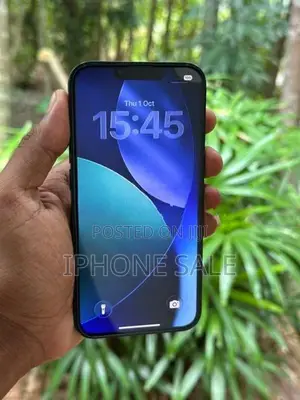 Apple iPhone 13 128GB (Used)