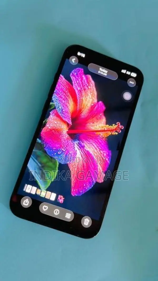 Apple iPhone 13 (Used)