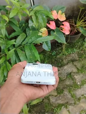 Apple iPhone 15 (Used)