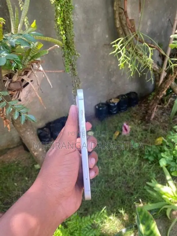 Apple iPhone 13 (Used)