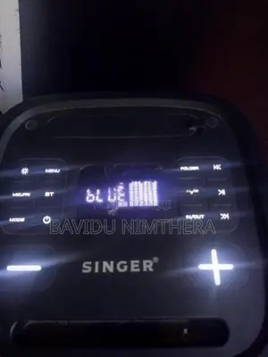 Singer Bavidu