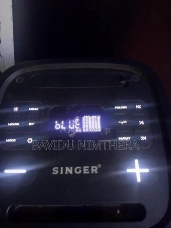 Singer Bavidu