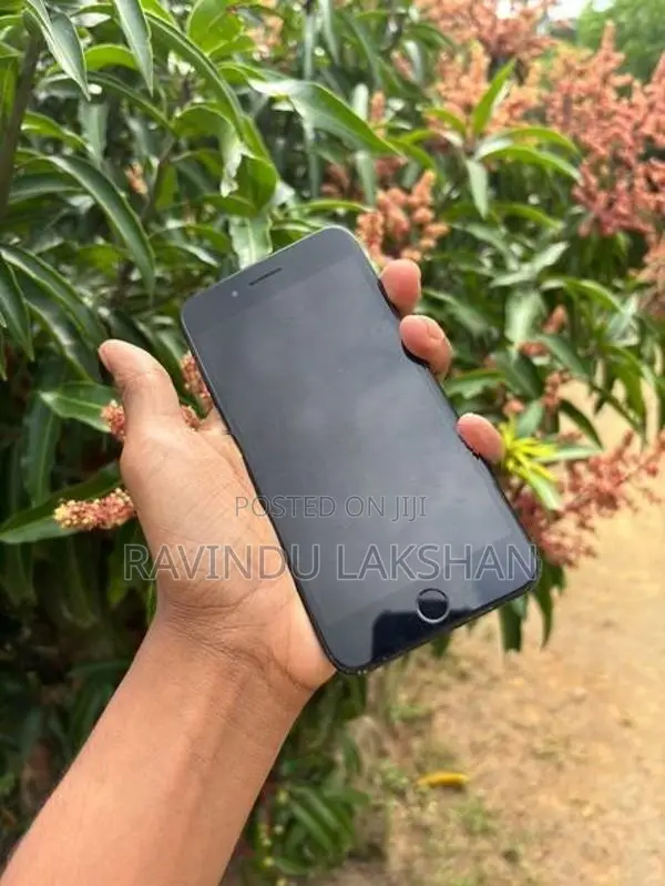Apple iPhone 7 Plus (Used)