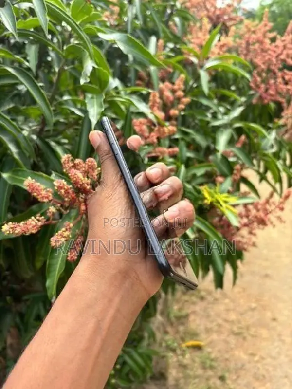 Apple iPhone 7 Plus (Used)