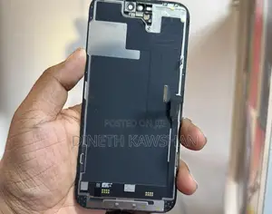Apple iPhone 14 Pro Max Used Display
