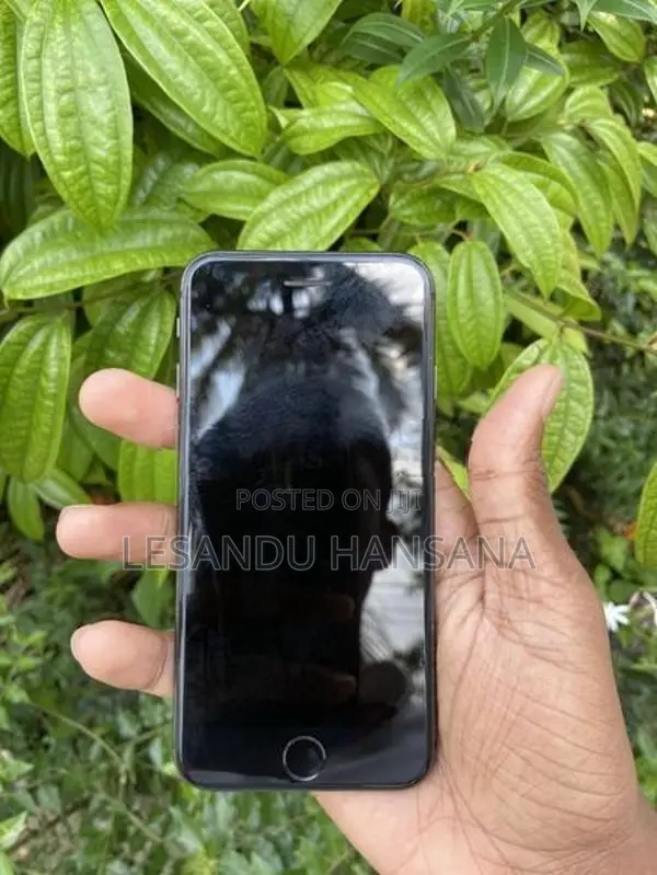 Apple iPhone 8 (Used)