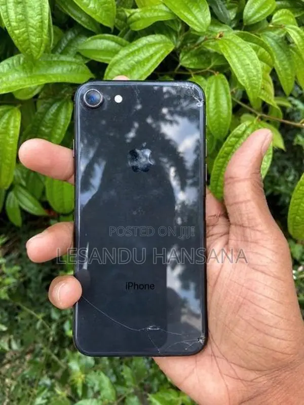 Apple iPhone 8 (Used)