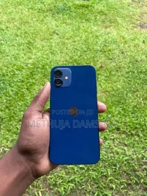 Apple iPhone 12 (Used)