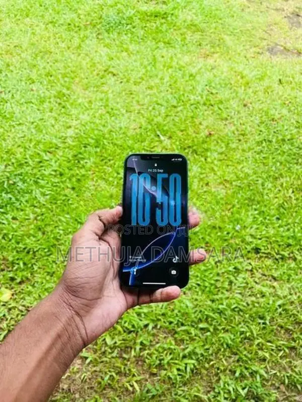 Apple iPhone 12 (Used)