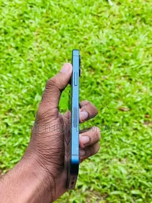 Apple iPhone 12 (Used)