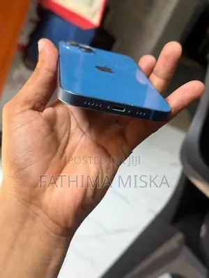 Apple iPhone 13 (Used)
