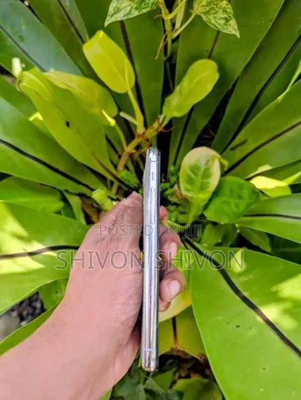 Apple iPhone 11 Pro LL/A (Used)