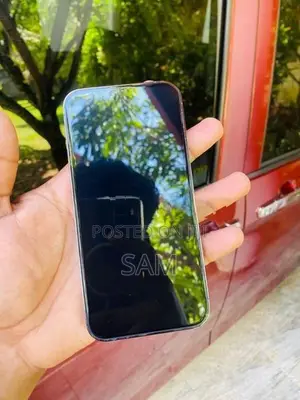Apple iPhone 13 Pro (Used)