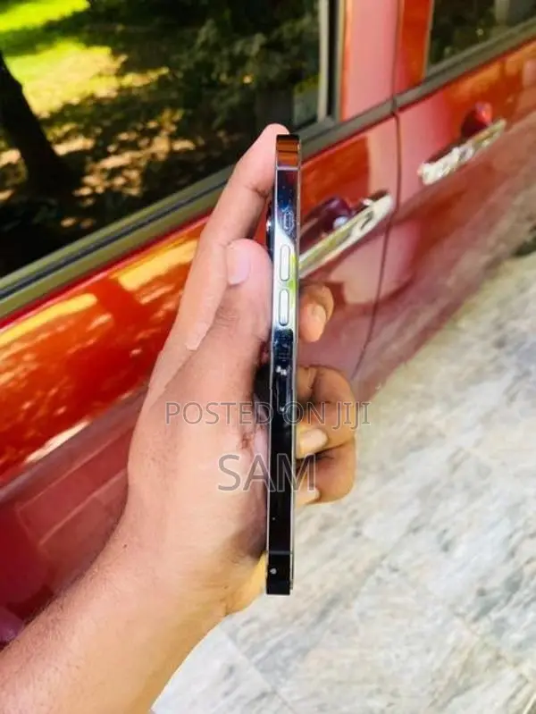 Apple iPhone 13 Pro (Used)
