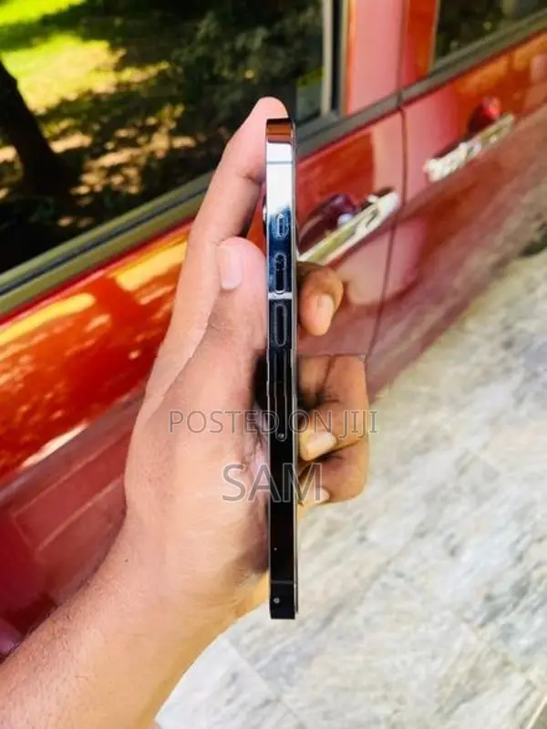 Apple iPhone 13 Pro (Used)