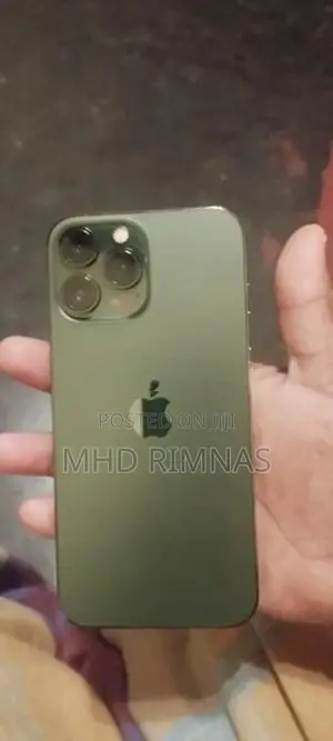 Apple iPhone 13 Pro Max (Used)
