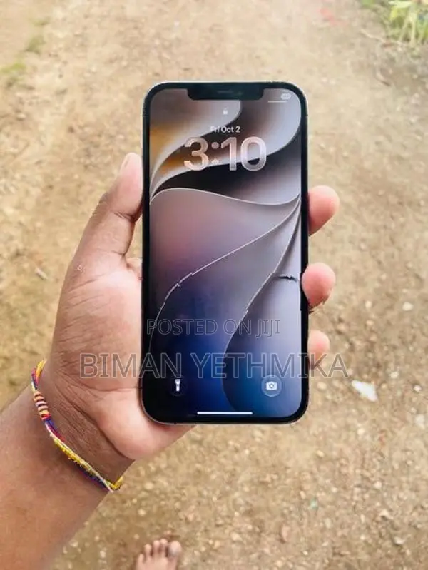 Apple iPhone 12 Pro Max (Used)