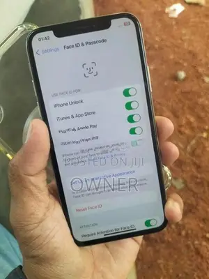 Apple iPhone X 256GB (Used)