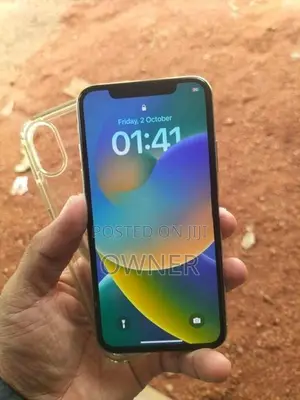 Apple iPhone X 256GB (Used)